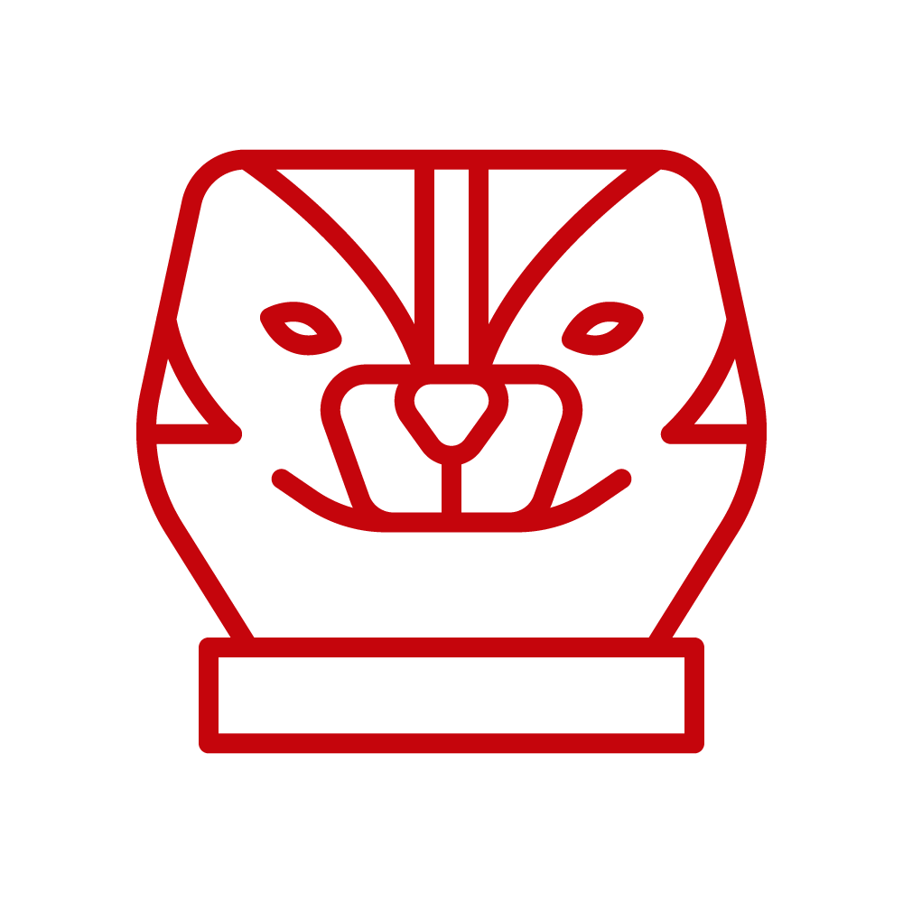 Information Technology Academy