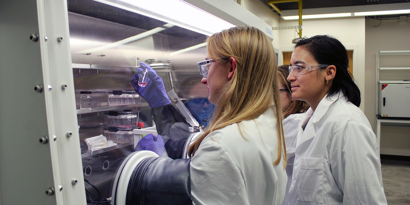 Students working in a lab