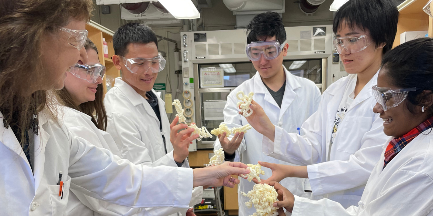 Students shown in a lab