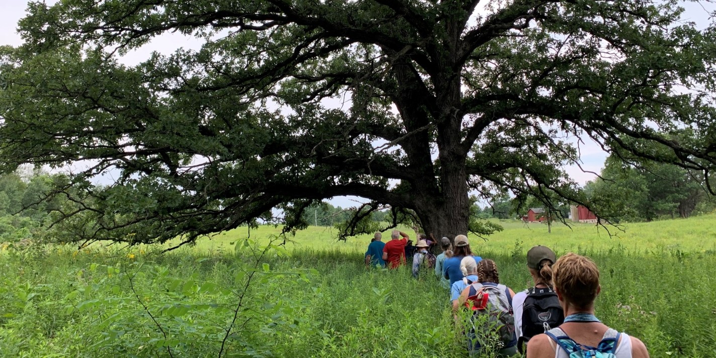 Students take a trip walking through nature